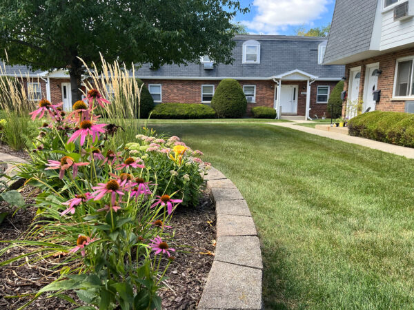 Pink cone-flowers and yellow flowers are blooming in a raised flower bed. A two-story apartment building with red brick, black roofing tiles, and white trim is in the background.