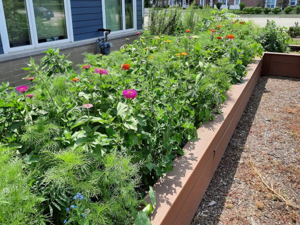 flower bed