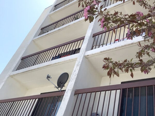 A white apartment building with balconies that have metal railings. The branches of a tree with pink blossoms are in front.