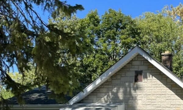 White stone house with trees behind the roofline.