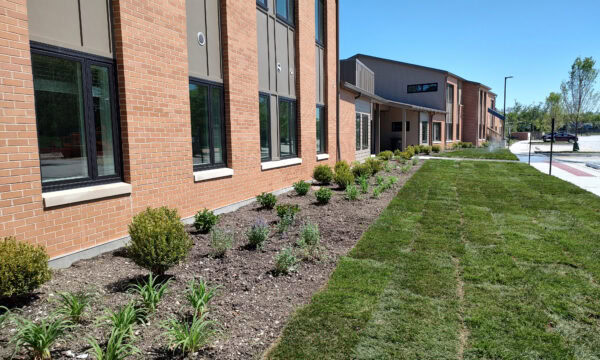 Two story apartment building with brown brick, grass and small plants in front.