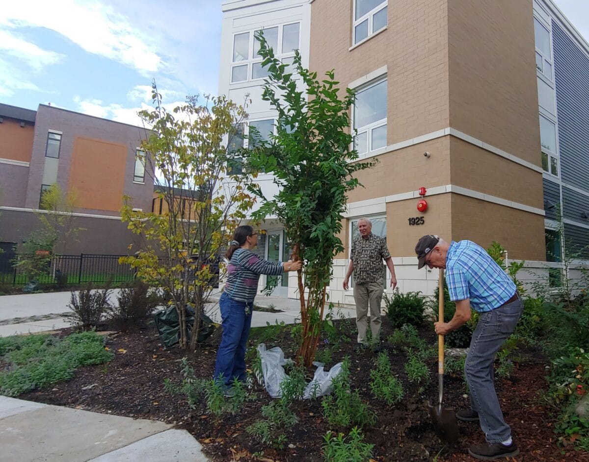 A woman holds a tall green bush while a man in a blue shirt shovels the dirt. Another man watches. A light brick apartment building is in the background.