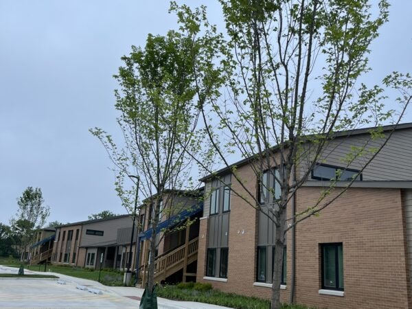 Trees in front of a two story apartment building with green grass.