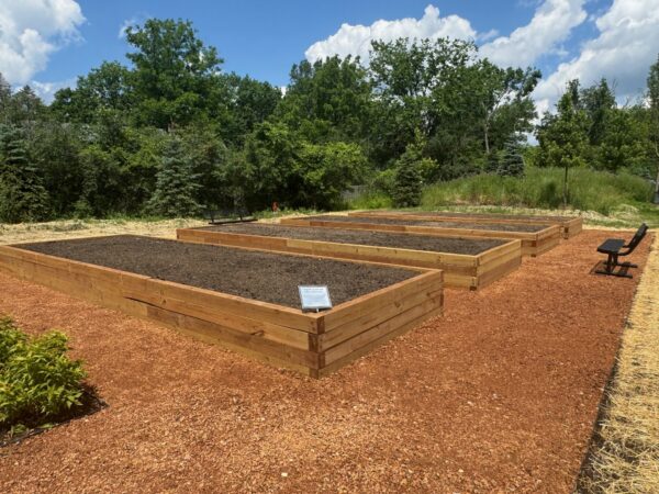 Three raised garden beds filled with dirt and ready to be planted.