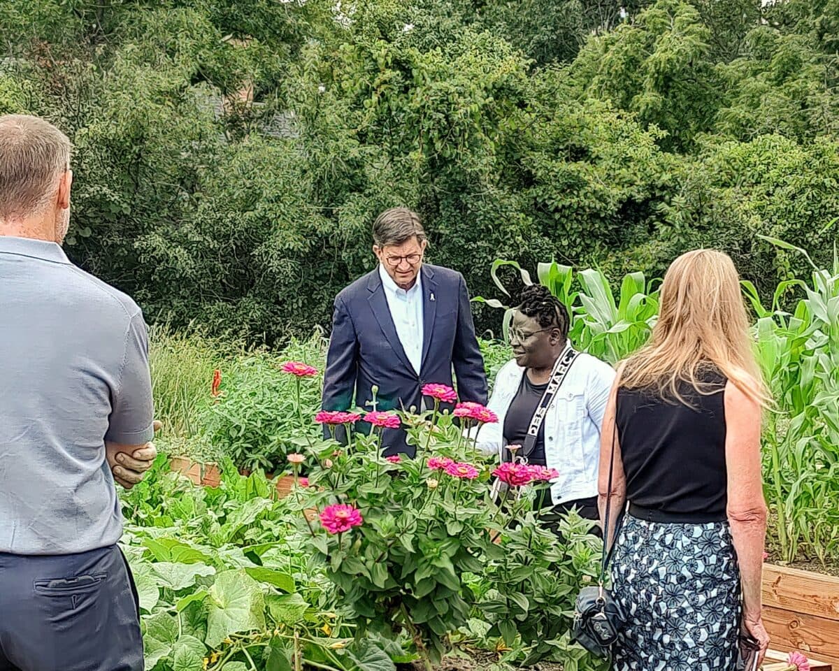 A small group of people stands in a lush garden. Pink flowers bloom in the foreground, while tall green corn stalks and trees create a vibrant, peaceful setting.
