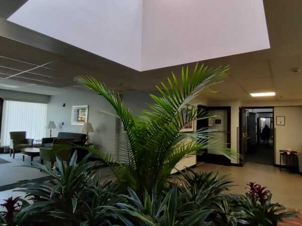 IMG_20251029_111424401_HDR