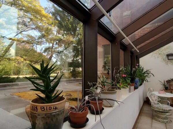 IMG_20251029_112622341_HDR